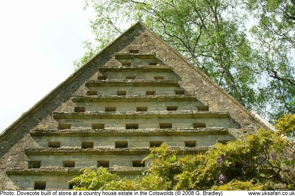 pigeon and dove house