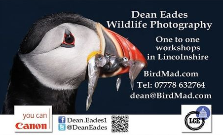 Dean Eades Photography